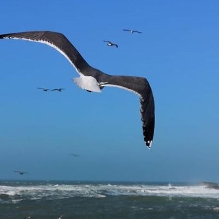 Villa L'Oiseau Bleu Essaouira Exteriör bild